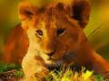 Cluiche Wild Baby Animals Jigsaw