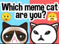 Cluiche Which Meme Cat Are You?