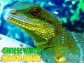 Cluiche Chinese Water Dragon Jigsaw