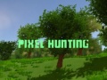 Cluiche Pixel Hunting