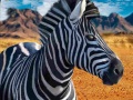 Cluiche Zebra Hunter