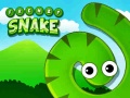 Cluiche Frenzy Snake