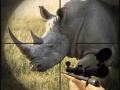 Cluiche Wild Rhino Hunter