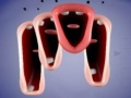Cluiche Crazy Lips