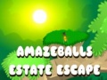 Cluiche Amazeballs Estate Escape