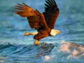 Cluiche Animals Jigsaw Puzzle Eagle