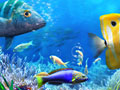 Cluiche Let's Fish