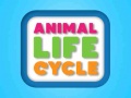 Cluiche Animal Life Cycle