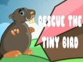 Cluiche Rescue The Tiny Bird
