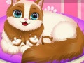 Cluiche Cute Kitty Pregnant