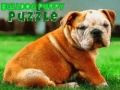 Cluiche Bulldog Puppy Puzzle