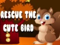 Cluiche Rescue The Cute Bird