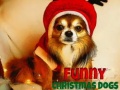 Cluiche Funny Christmas Dogs