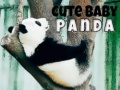 Cluiche Cute Baby Panda