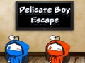 Cluiche Delicate Boy Escape