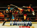 Cluiche Fighters in the Ring