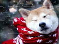 Cluiche Winter Pets Puzzle