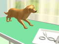 Cluiche Paw Care