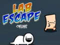 Cluiche Lab Escape Online
