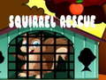 Cluiche Squirrel Rescue