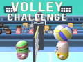 Cluiche Volley Challenge