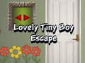 Cluiche Lovely Tiny Boy Escape