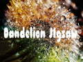 Cluiche Dandelion Jigsaw