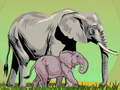 Cluiche Wild Animals and Their Babies