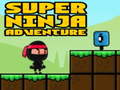 Cluiche Super Adventure Ninja