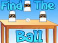 Cluiche Find The Ball