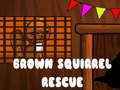 Cluiche Brown Squirrel Rescue