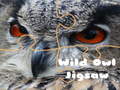 Cluiche Wild owl Jigsaw