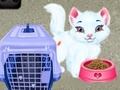 Cluiche Baby Taylor Pet Care