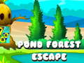 Cluiche Pond Forest Escape