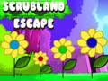 Cluiche Scrubland Escape