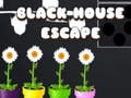 Cluiche Black House Escape