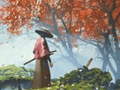 Cluiche Samurai Reflexion