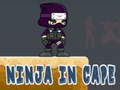 Cluiche Ninja in Cape