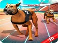 Cluiche Crazy Dog Race