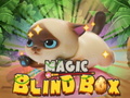Cluiche Magic Blind Box