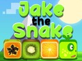 Cluiche Jake The Snake