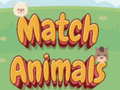Cluiche Match Animals