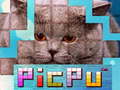 Cluiche PicPu Cat 