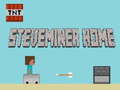 Cluiche Steveminer Home