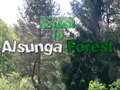 Cluiche Return To Alsunga Forest
