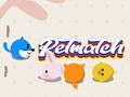 Cluiche Pet Match