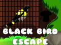 Cluiche Black Bird Escape