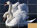 Cluiche Animals Slide Puzzle