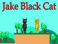 Cluiche Jake Black Cat