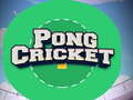 Cluiche Pong Cricket